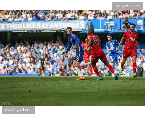 布莱顿主场迎战谢菲尔德联队期待精彩对决与激烈竞争