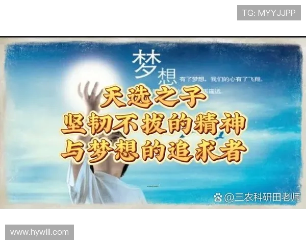 景菡一的成长之路与心灵探索：在追寻梦想中发现自我价值与人生意义