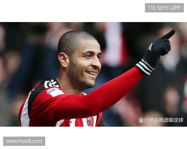 谢菲尔德联队主场迎战赫尔城争夺英冠积分榜关键战役