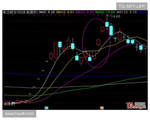 重庆篮球队技术分析与战术创新的深度探讨与展望