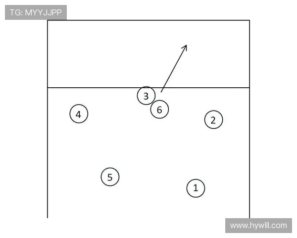 重庆排球队进攻战术解析与球队发展现状探讨 重庆排球队进攻战术解析与球队发展现状探讨